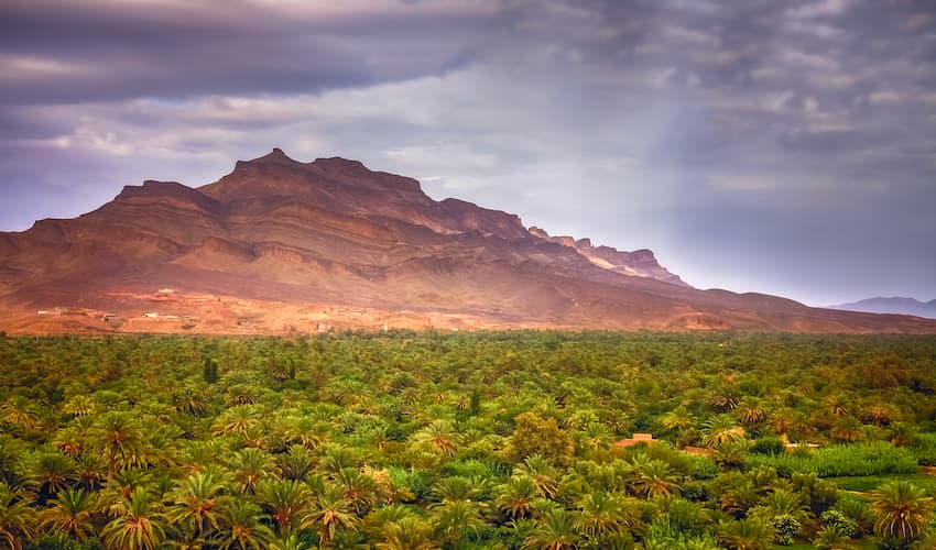 Marrakech Desert Tours